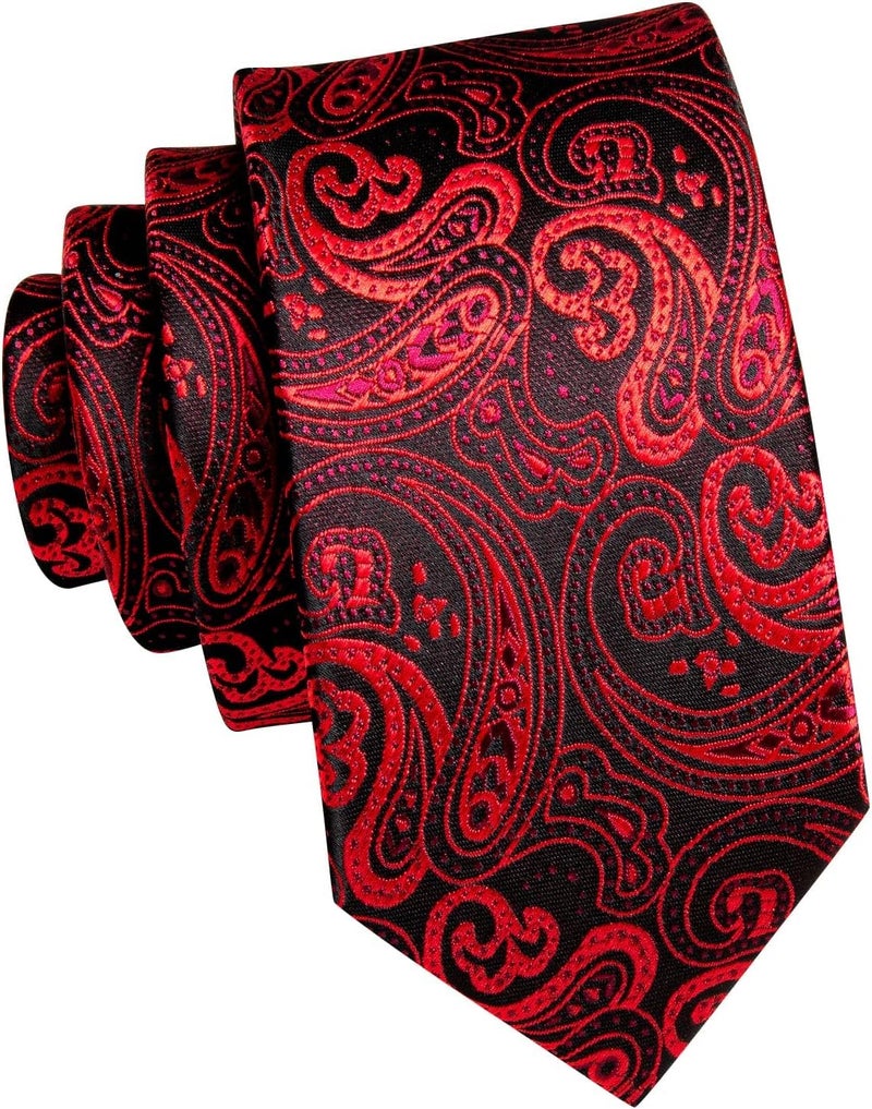 Dubulle Ties for Boys Self Tie Silk Paisely Striped Kids Necktie and Pocket Square Set for Age 8-11 - Image 2